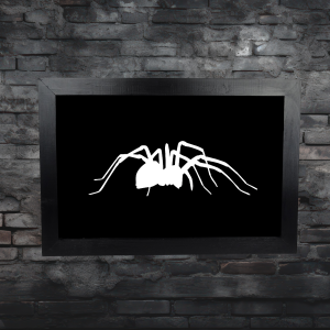 Spider framed wall art