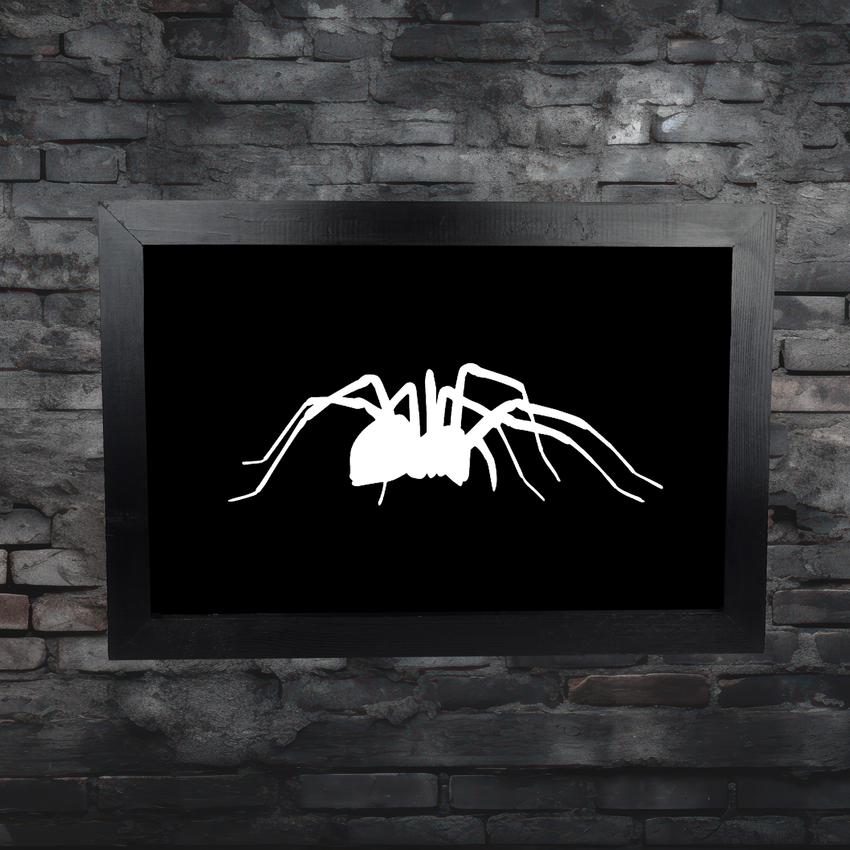 Spider framed wall art