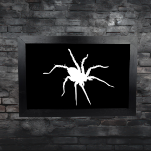 Tarantula Framed Wall Art